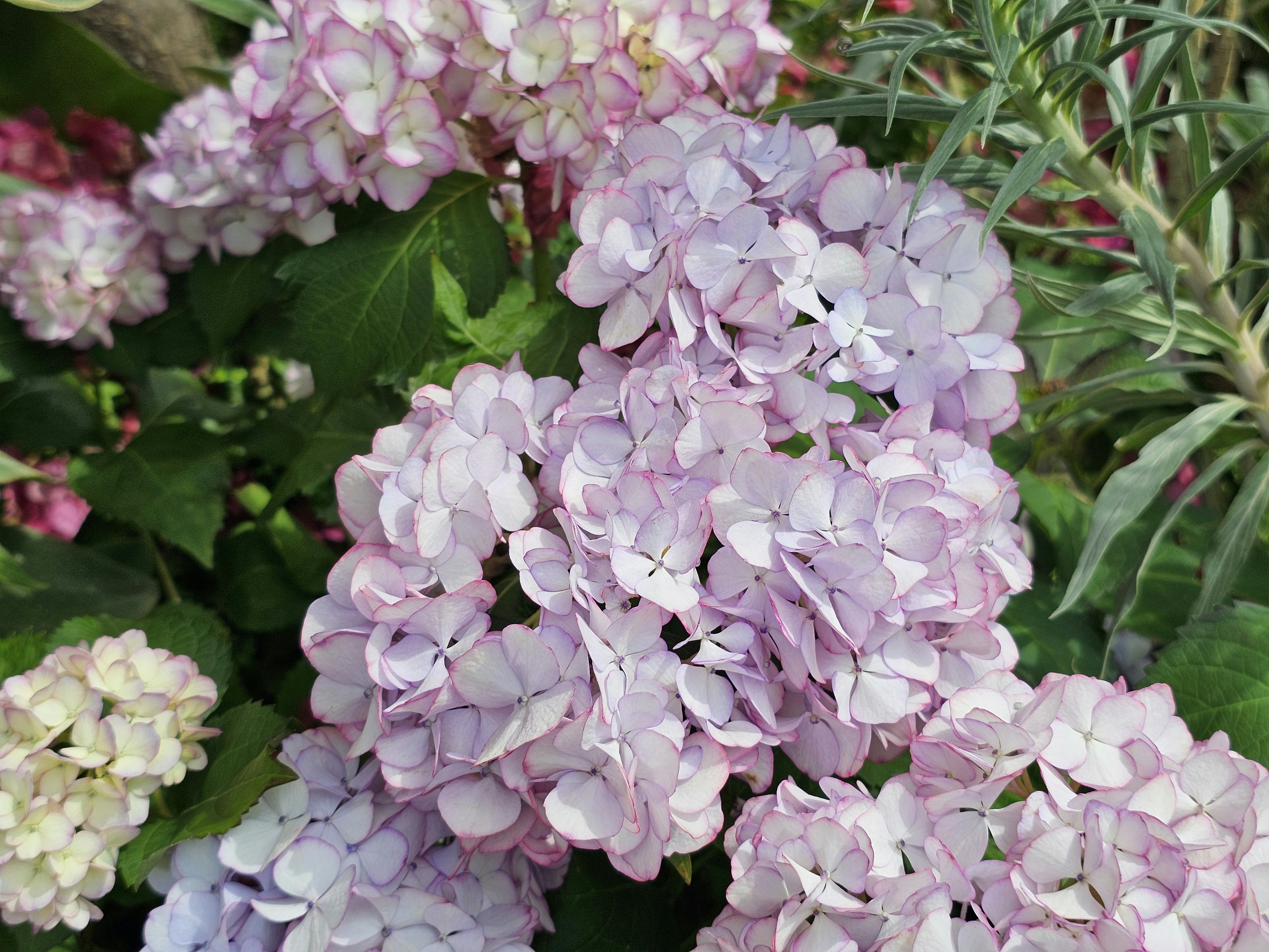 Ethereal abstract background